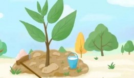 新植物预告植树节爆料视频,绿色未来，共筑生态家园