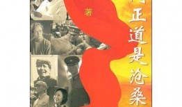 人间正道是沧桑在线观看,探寻革命岁月的沧桑巨变